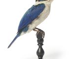 un oiseau bleu et blanc perché sur un socle noir