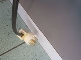 a plugged electrical outlet in the corner of a room