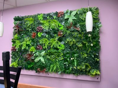 Un mur végétal fixé sur une plaque de plexiglass