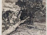 an image of a black and white drawing of trees in a field