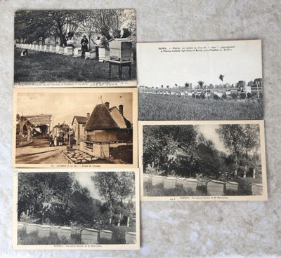 plusieurs vieilles photos en noir et blanc représentant une ferme et une maison