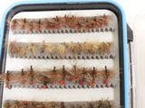 many different types of flies in a plastic box