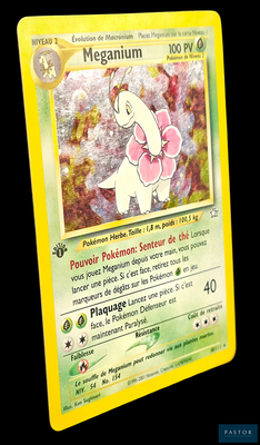 une carte Pokémon sur laquelle figure l'image d'une fille
