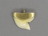 une photo d'un pendentif en forme de dent de requin plaqué or posé sur une surface grise