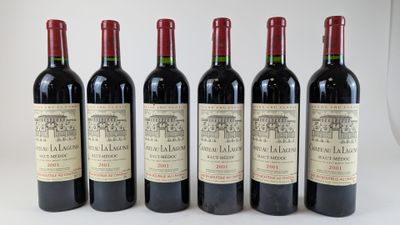 six bouteilles de vin rouge alignées sur une surface blanche