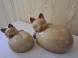 deux chats assis sur une table blanche