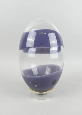 une image représentant un vase en verre contenant un liquide violet
