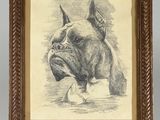 une vieille photo d'un chien, encadrée et accrochée au mur