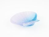 a white shell with a light blue shell on it