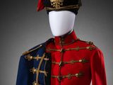 a red and blue military jacket with gold buttons and a black hat