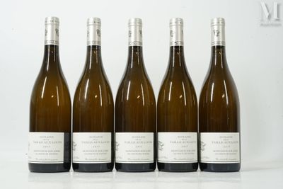six bouteilles de vin sont alignées sur une surface blanche