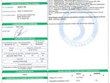 a green and white document with a picture of a person on it