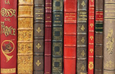 many books that are lined up together on a shelf