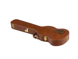 an image of a brown guitar case sitting on top of a white surface
