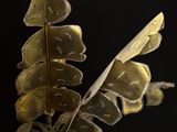 a metal sculpture of a plant with leaves on it