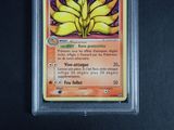 a picture of a card with a picture of a bunch of bananas