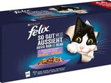 une photo d'une boîte de nourriture pour chat de la marque Fela posée sur une surface blanche