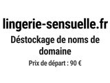 Photo 1/1 du lot