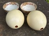 three bowls and two eggs on a table
