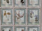 an old window with a bunch of pressed flowers on it