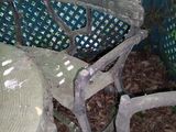 a broken chair sitting in the dirt next to a blue fence