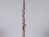 an image of a silver flute on a clear stand on a gray background