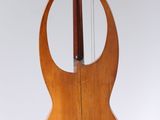 an image of a guitar hanging from a string on a white background