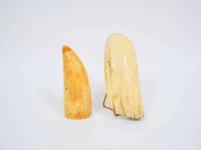 deux morceaux de banane posés l'un à côté de l'autre sur une surface blanche