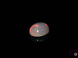 an oplite in the dark with a black background