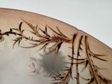 a close up of a glass bowl with a plant on it