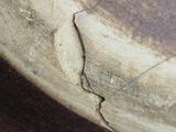 a crack in the side of a large metal object