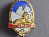 an image of a lapel pin with a picture of a lion