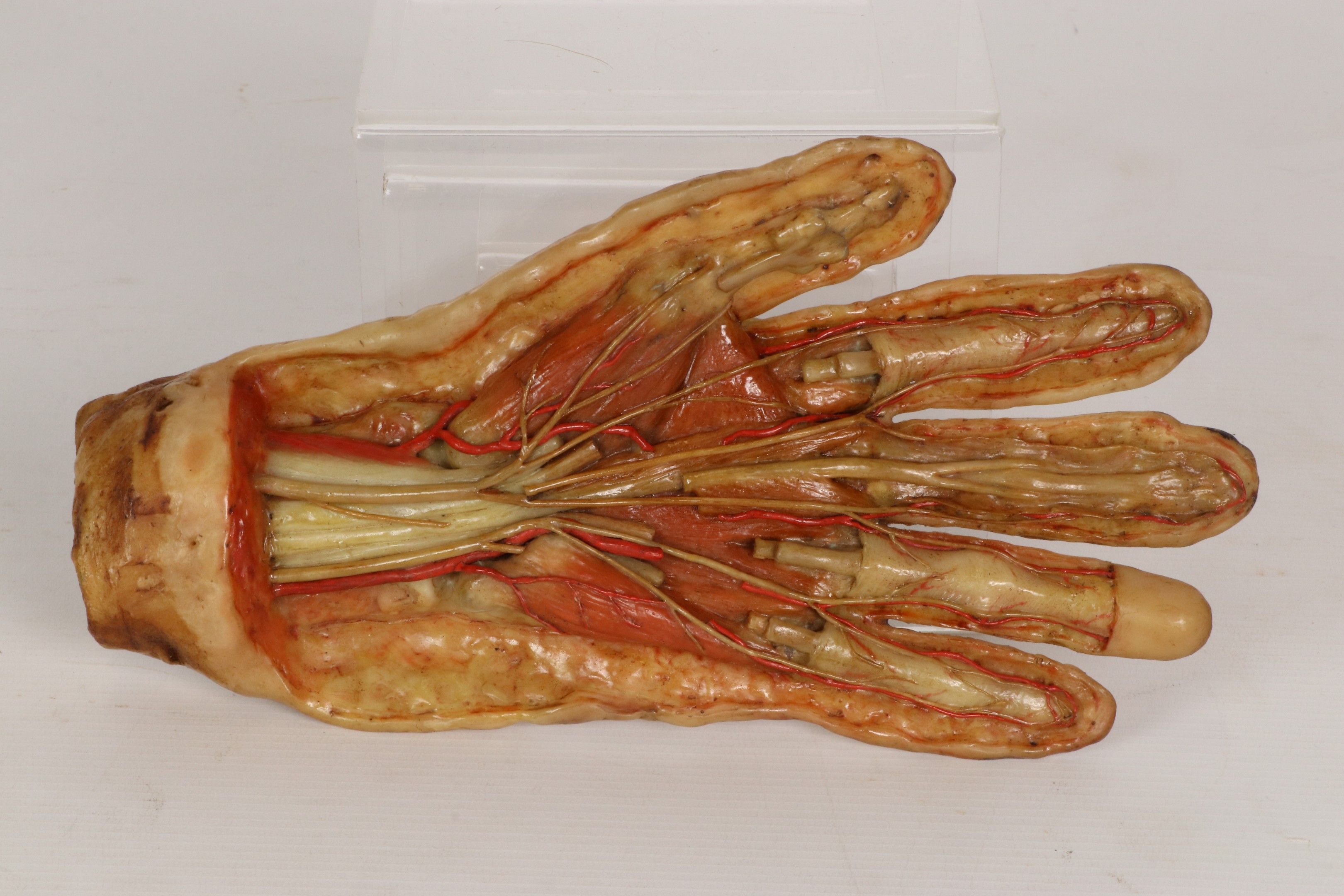 Objets d'art & Curiosités