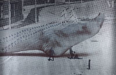 Wolf Vostell (1932-1998) Sans titre, c. 1965