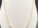 a pearl necklace on a mannequin mannequin mannequin mannequin mannequin mann
