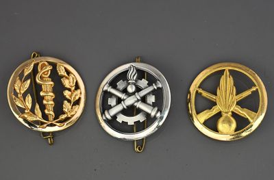 insigne béret : a. régiment du matériel.