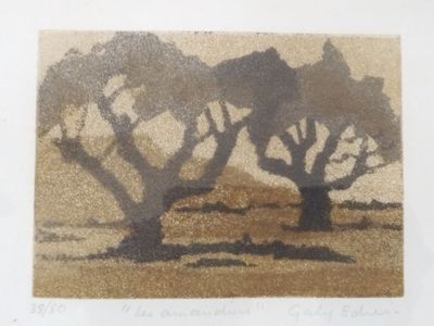 une photo représentant deux arbres dans un champ