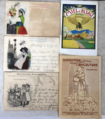 Plusieurs vieilles cartes postales sont exposées sur une surface blanche