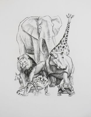 drawing of an elephant, giraffe, lion, and other animals