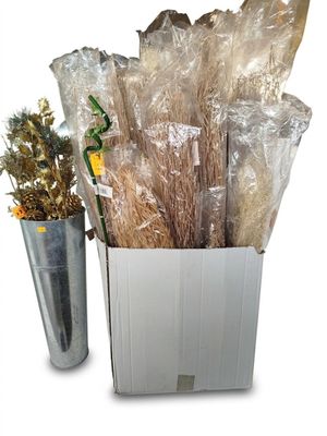 une plante dans un vase, à côté d'un récipient contenant des plantes séchées
