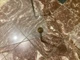 a toilet in a bathroom with a toilet paper roll on the floor