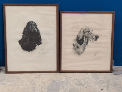 two framed pictures of a dog and a cat on a blue wall