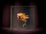 une photo d'un papillon de nuit dans une boîte en verre
