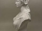 a black and white photo of a busturine of a woman