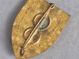 an image of a gold broochle with a needle in it