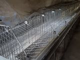 une photo d'un tapis roulant à l'intérieur d'un bâtiment