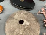 many different types of items that are on the table