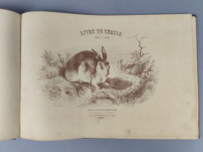 un livre ouvert sur lequel figure l'image d'un lapin