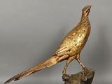 gold pheasant on a rock, standing on a grey background
