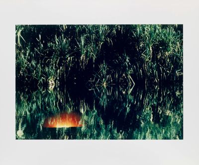 an orange object floating in the water next to some grass
